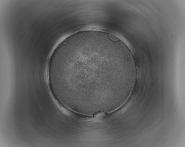 X0000110981131200906261424