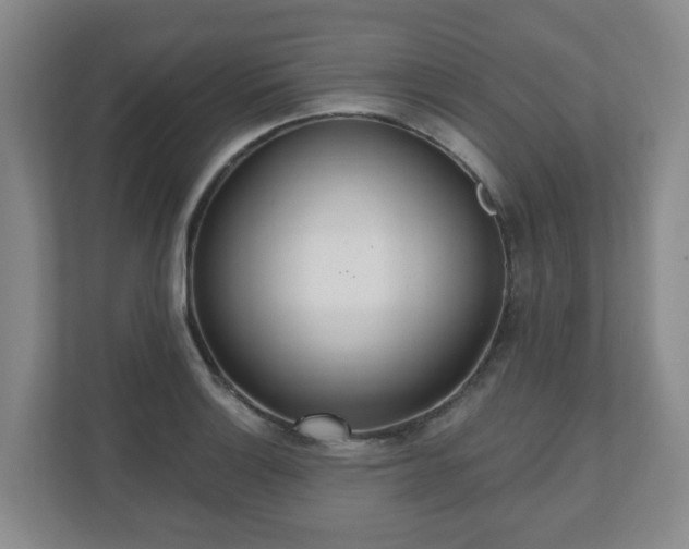 X0000110981132200906261424