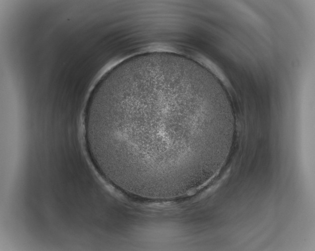 X0000110981133200906261424