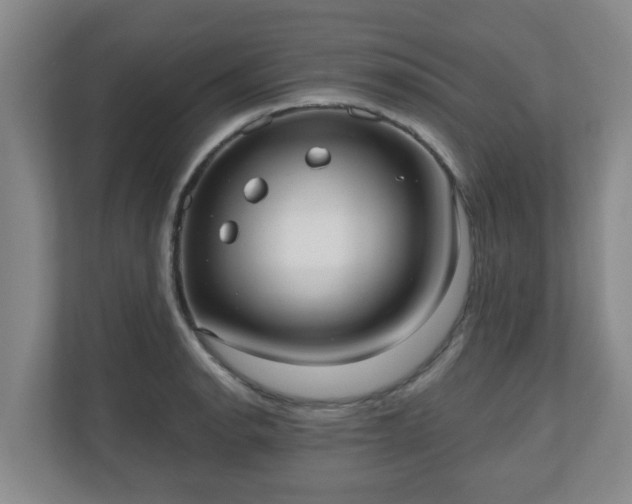 X0000110981134200906261424