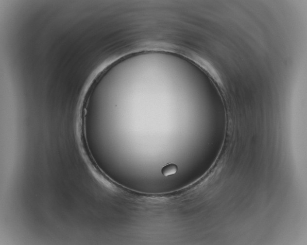 X0000110981136200906261424