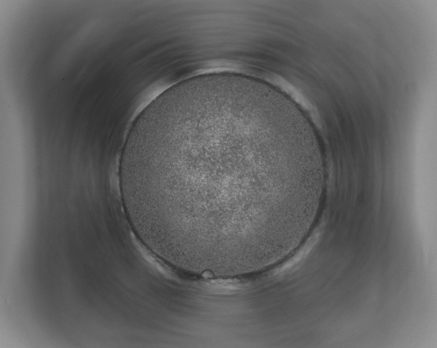 X0000110981137200906261424