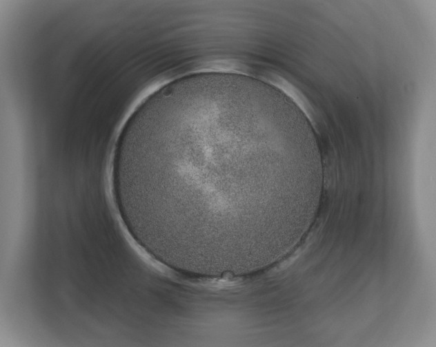 X0000110981139200906261424