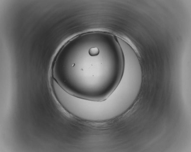 X0000110981140200906261424