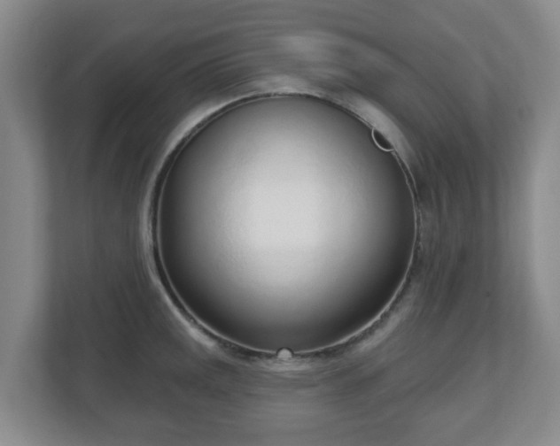 X0000110981141200906261424