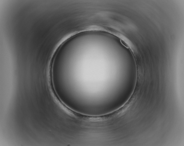 X0000110981142200906261424