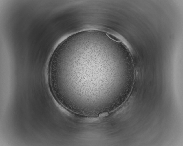 X0000110981143200906261424