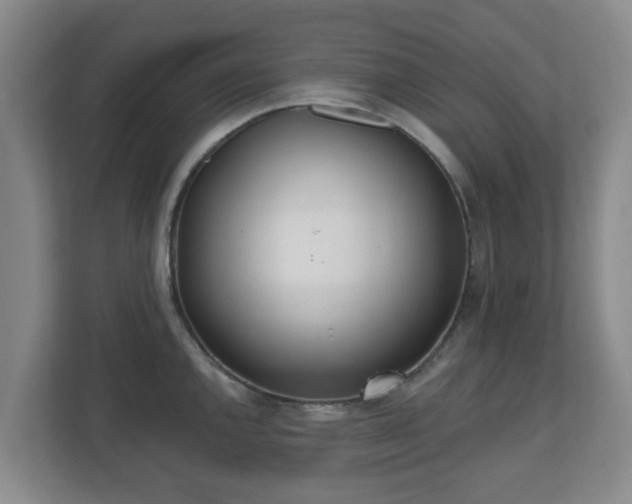 X0000110981144200906261424