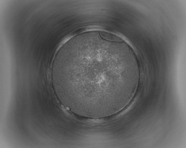 X0000110981145200906261424