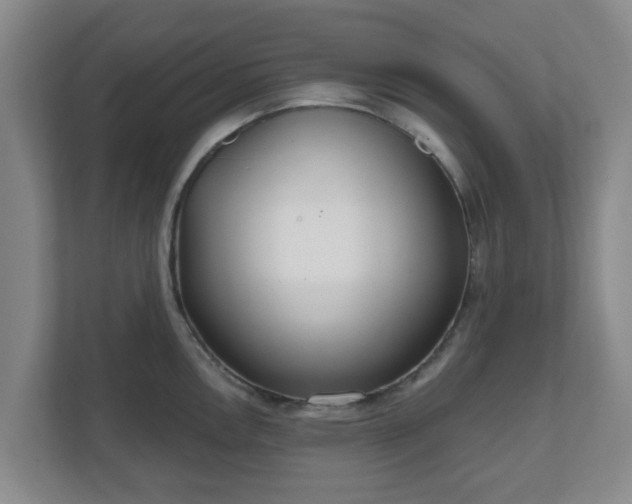 X0000110981146200906261424