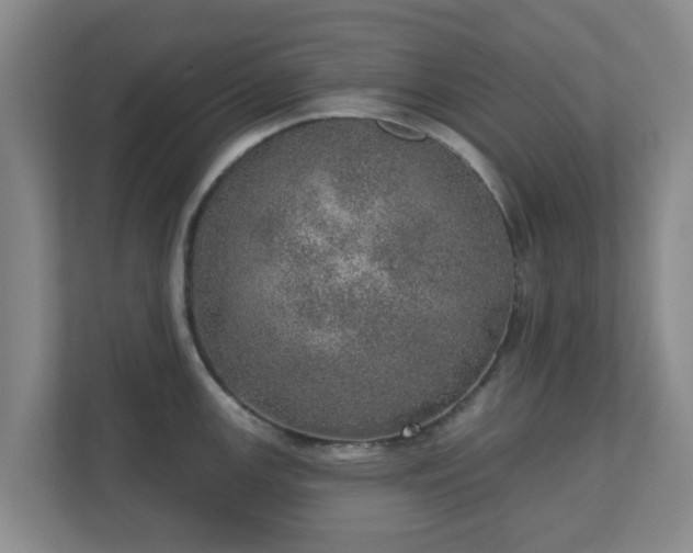 X0000110981147200906261424