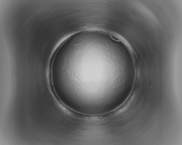 X0000110981149200906261424