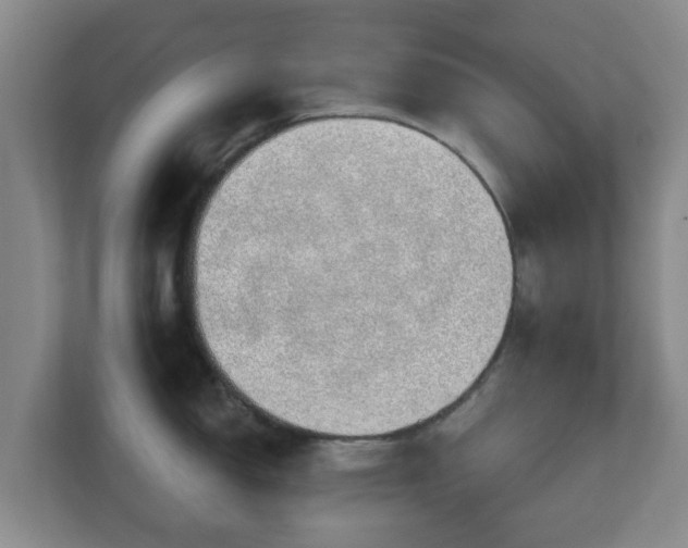 X0000110981150200906261424