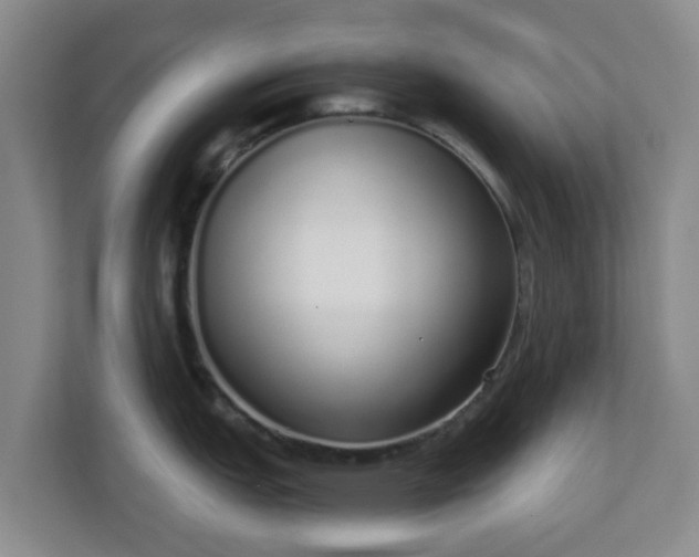 X0000110981151200906261424