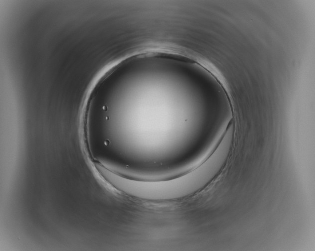 X0000110981152200906261424