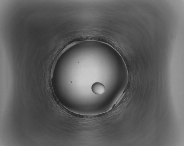 X0000110981153200906261423