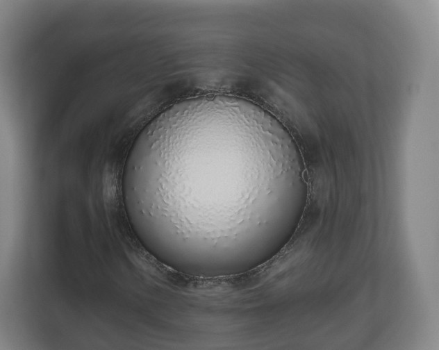 X0000110981154200906261423