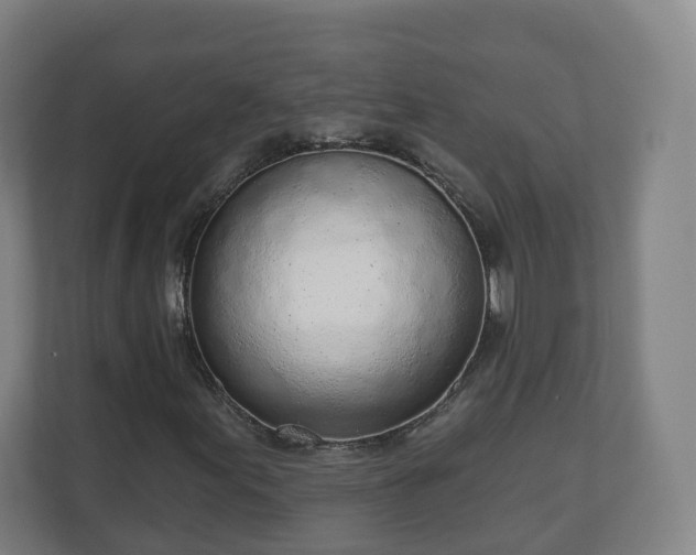 X0000110981155200906261423