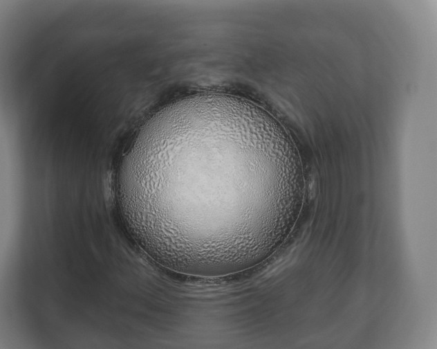 X0000110981156200906261423