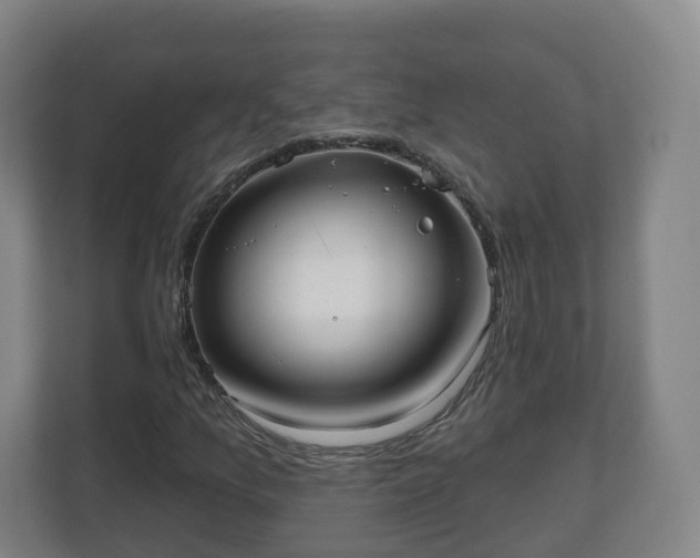 X0000110981157200906261423