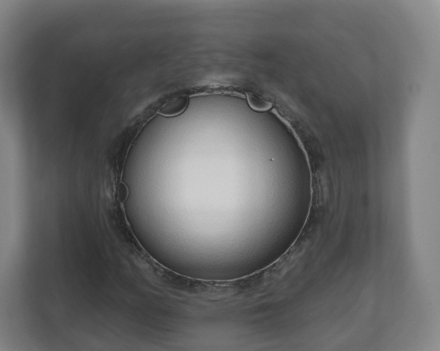 X0000110981158200906261423