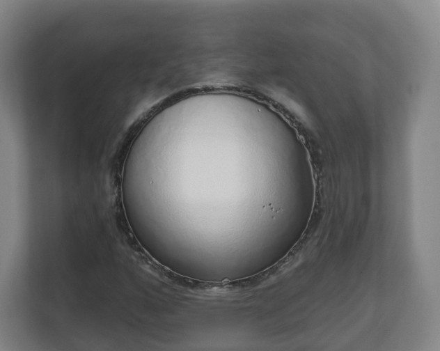 X0000110981160200906261423