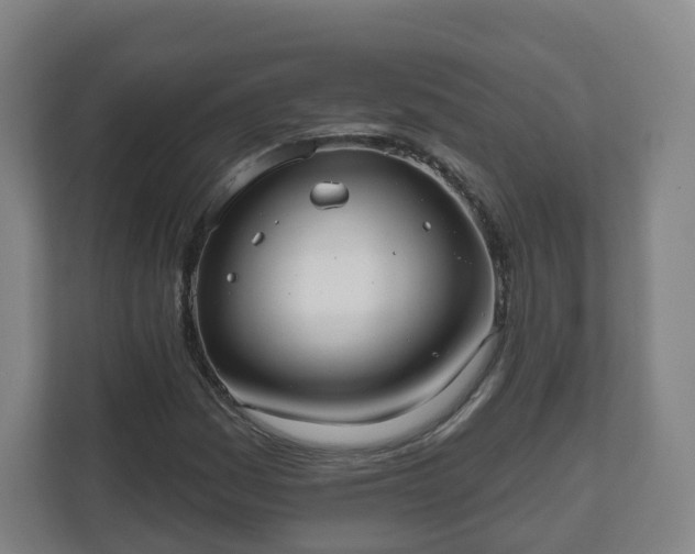 X0000110981161200906261423