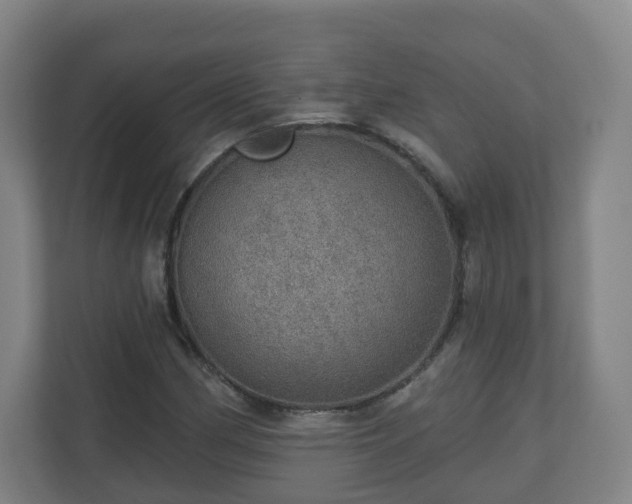 X0000110981162200906261423