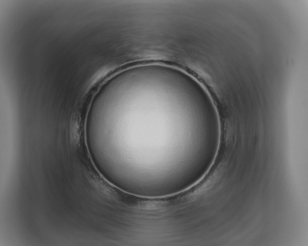 X0000110981163200906261423