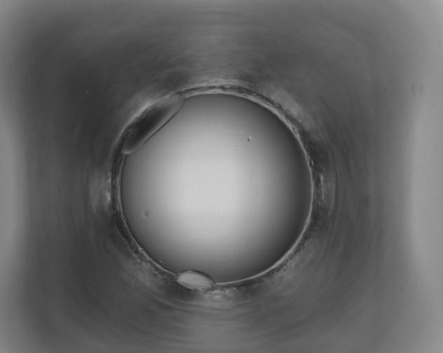 X0000110981165200906261423