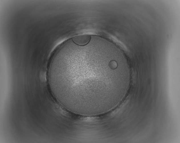 X0000110981166200906261423