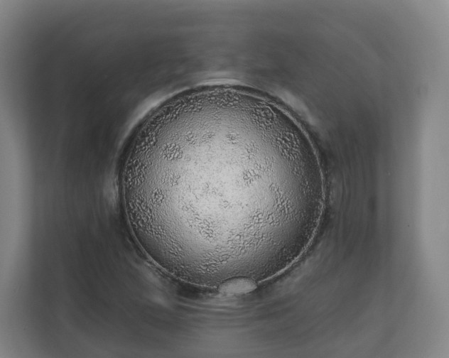 X0000110981167200906261423