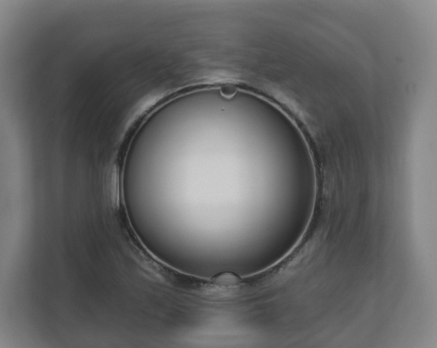 X0000110981171200906261423