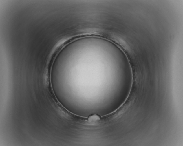 X0000110981172200906261423