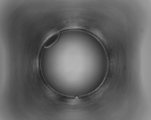 X0000110981173200906261423