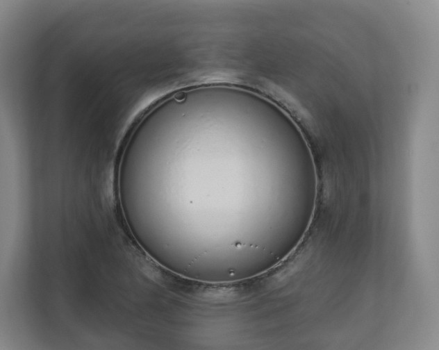 X0000110981174200906261423