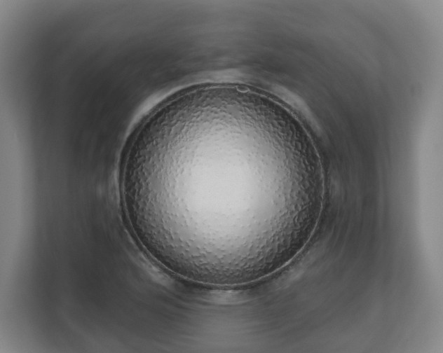 X0000110981176200906261423