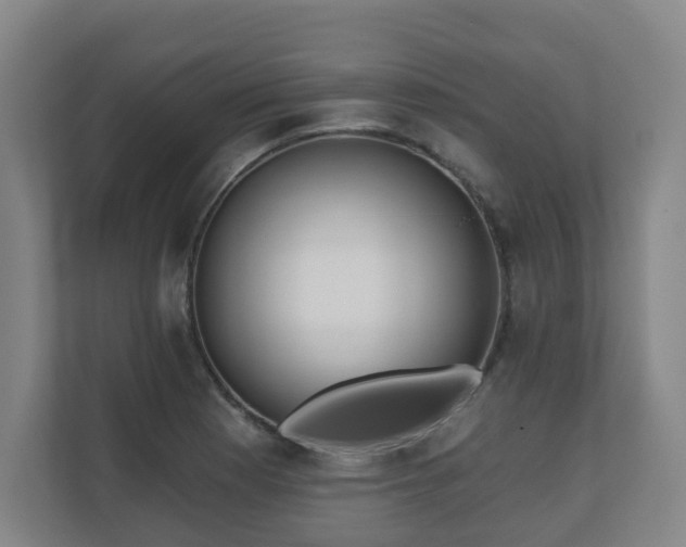 X0000110981177200906261423