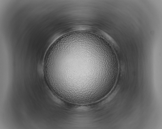 X0000110981178200906261423