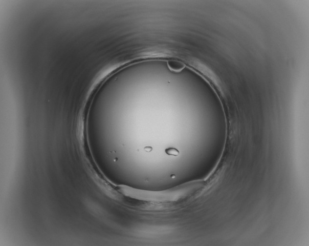 X0000110981179200906261423