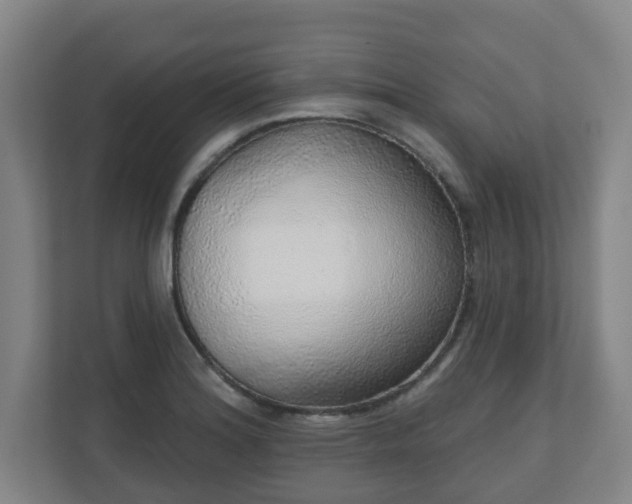 X0000110981180200906261423