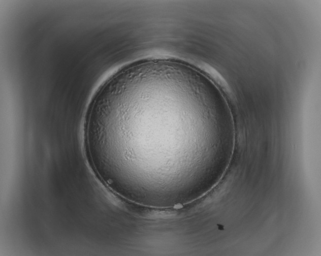 X0000110981183200906261423