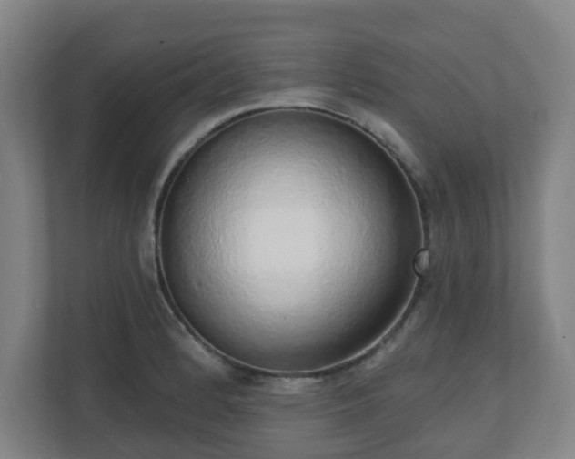 X0000110981184200906261423