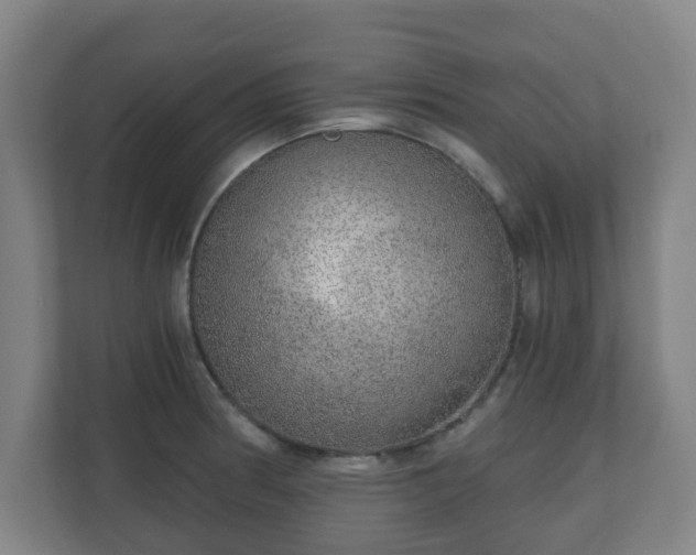 X0000110981186200906261423