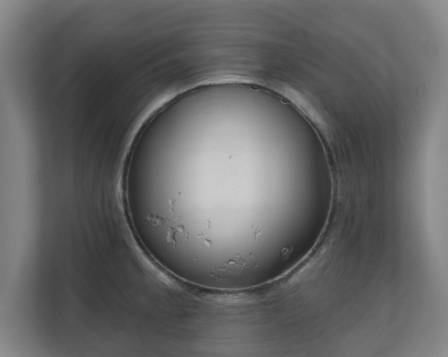 X0000110981189200906261423