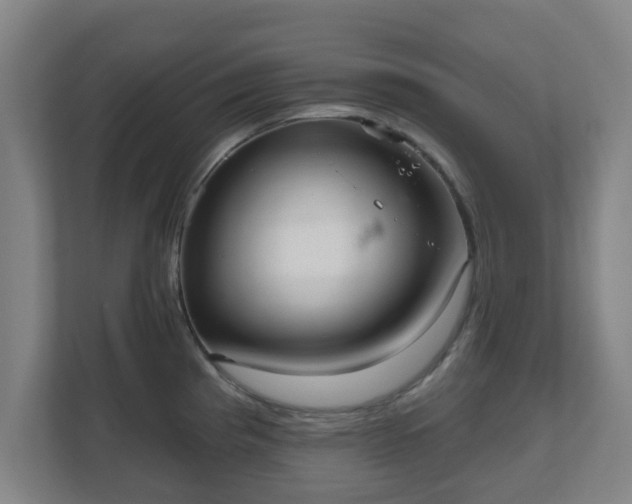 X0000110981193200906261423