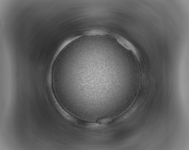 X0000110981195200906261423