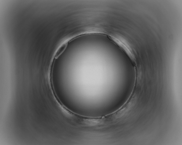 X0000110981197200906261423