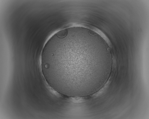 X0000110981198200906261423