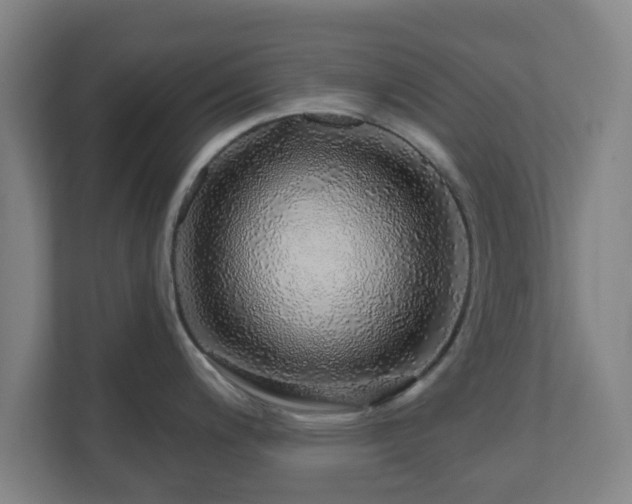 X0000110981200200906261423